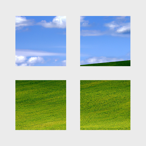 Window